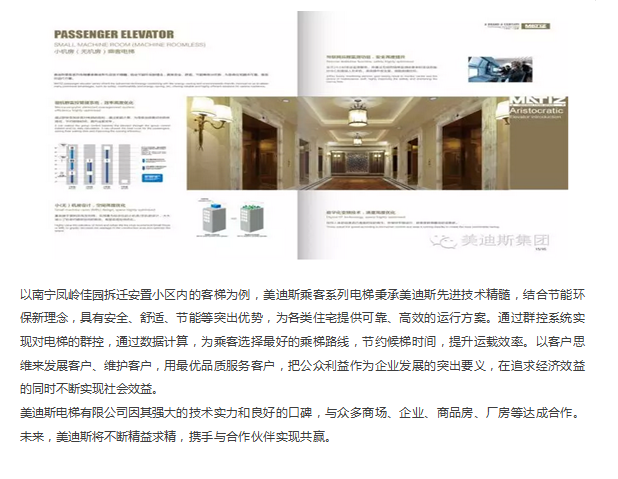 久久精品亚洲一级毛片