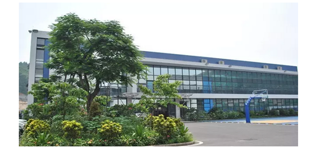 久久精品亚洲一级毛片