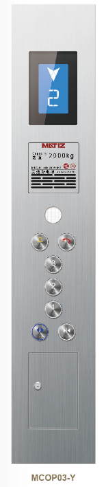 久久精品亚洲一级毛片