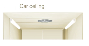 久久精品亚洲一级毛片