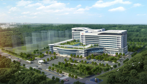 久久精品亚洲一级毛片