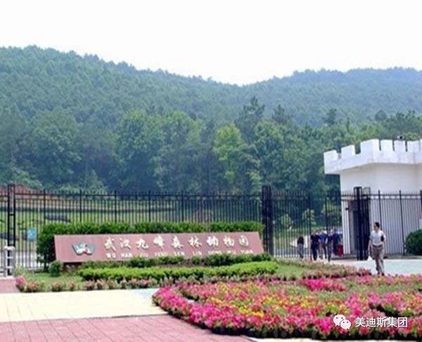 久久精品亚洲一级毛片