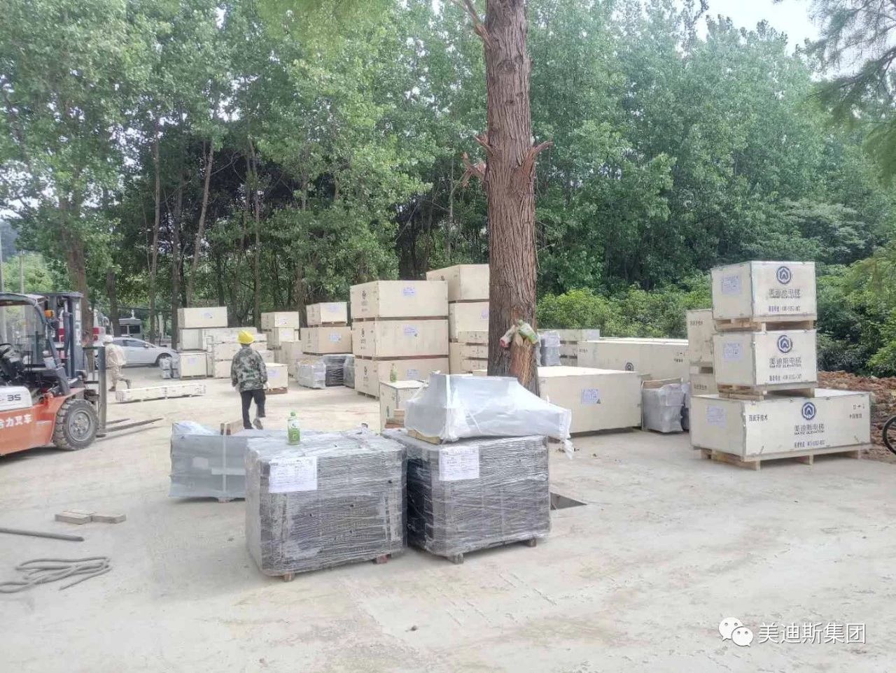 久久精品亚洲一级毛片