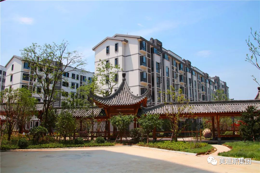 久久精品亚洲一级毛片