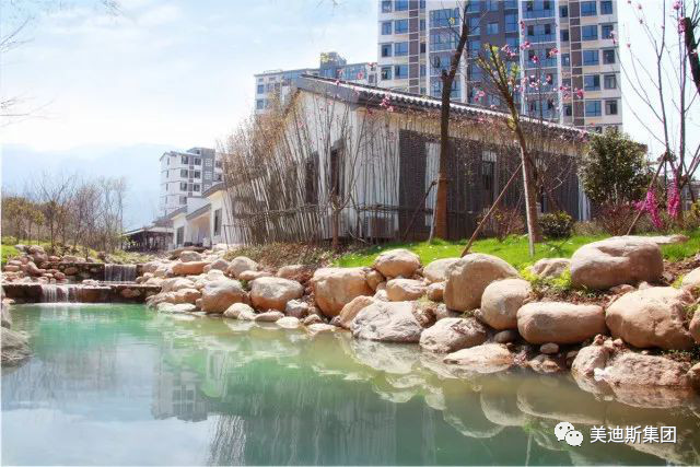 久久精品亚洲一级毛片