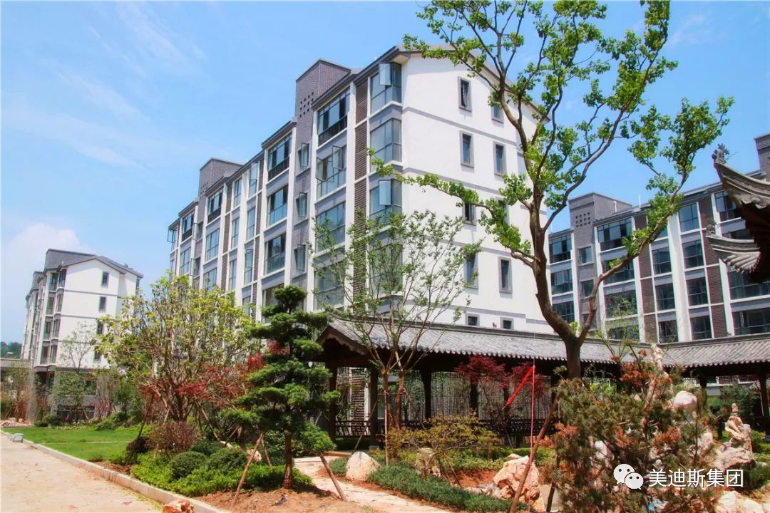 久久精品亚洲一级毛片