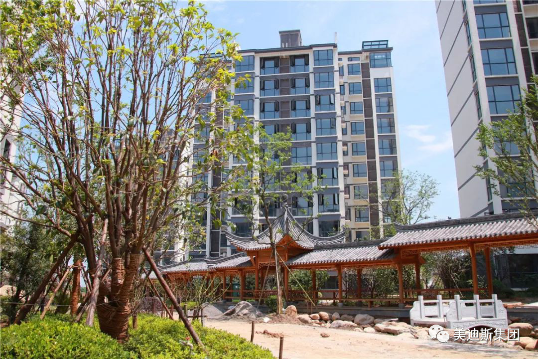 久久精品亚洲一级毛片