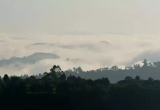 久久精品亚洲一级毛片