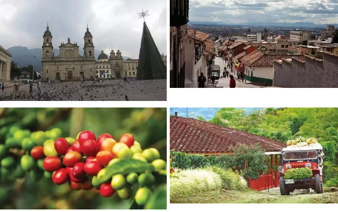 久久精品亚洲一级毛片