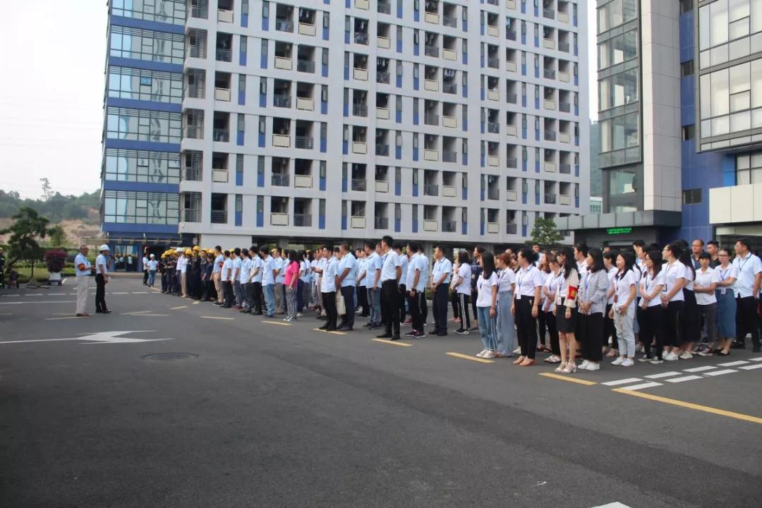 久久精品亚洲一级毛片