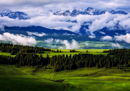 久久精品亚洲一级毛片