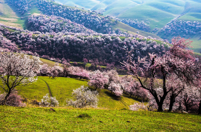久久精品亚洲一级毛片