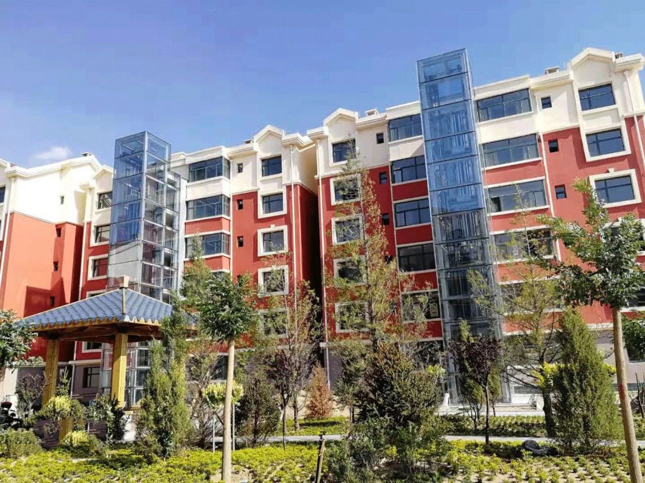 久久精品亚洲一级毛片