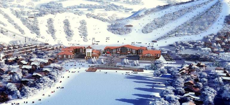 久久精品亚洲一级毛片