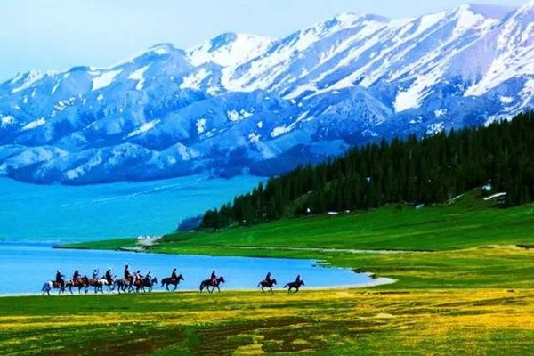 久久精品亚洲一级毛片