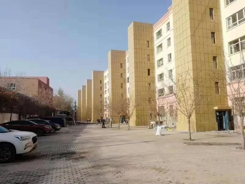 久久精品亚洲一级毛片