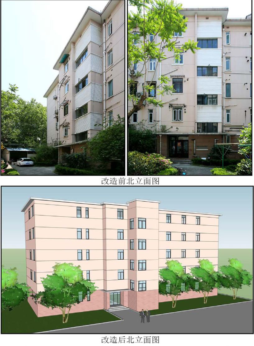 久久精品亚洲一级毛片