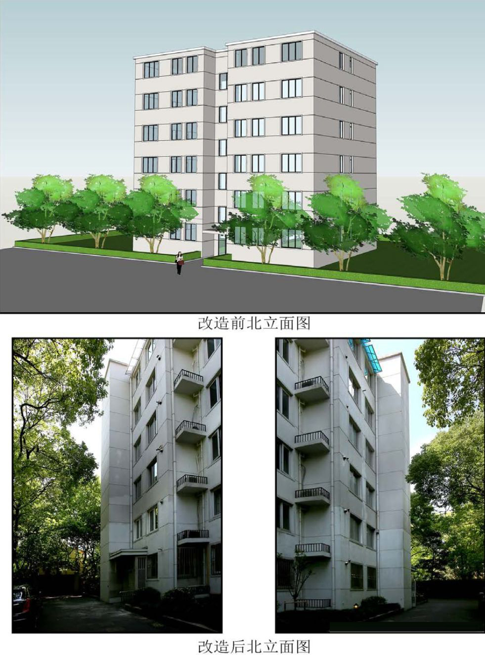 久久精品亚洲一级毛片