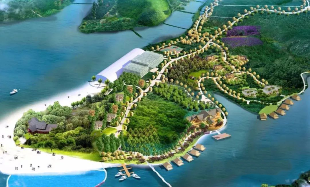 久久精品亚洲一级毛片