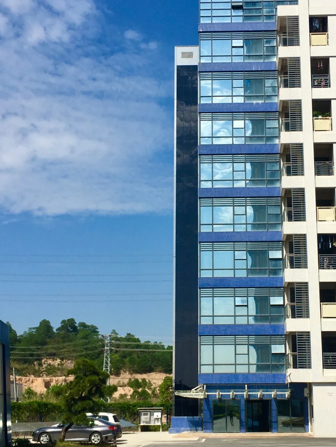 久久精品亚洲一级毛片