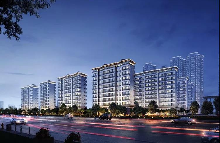 久久精品亚洲一级毛片