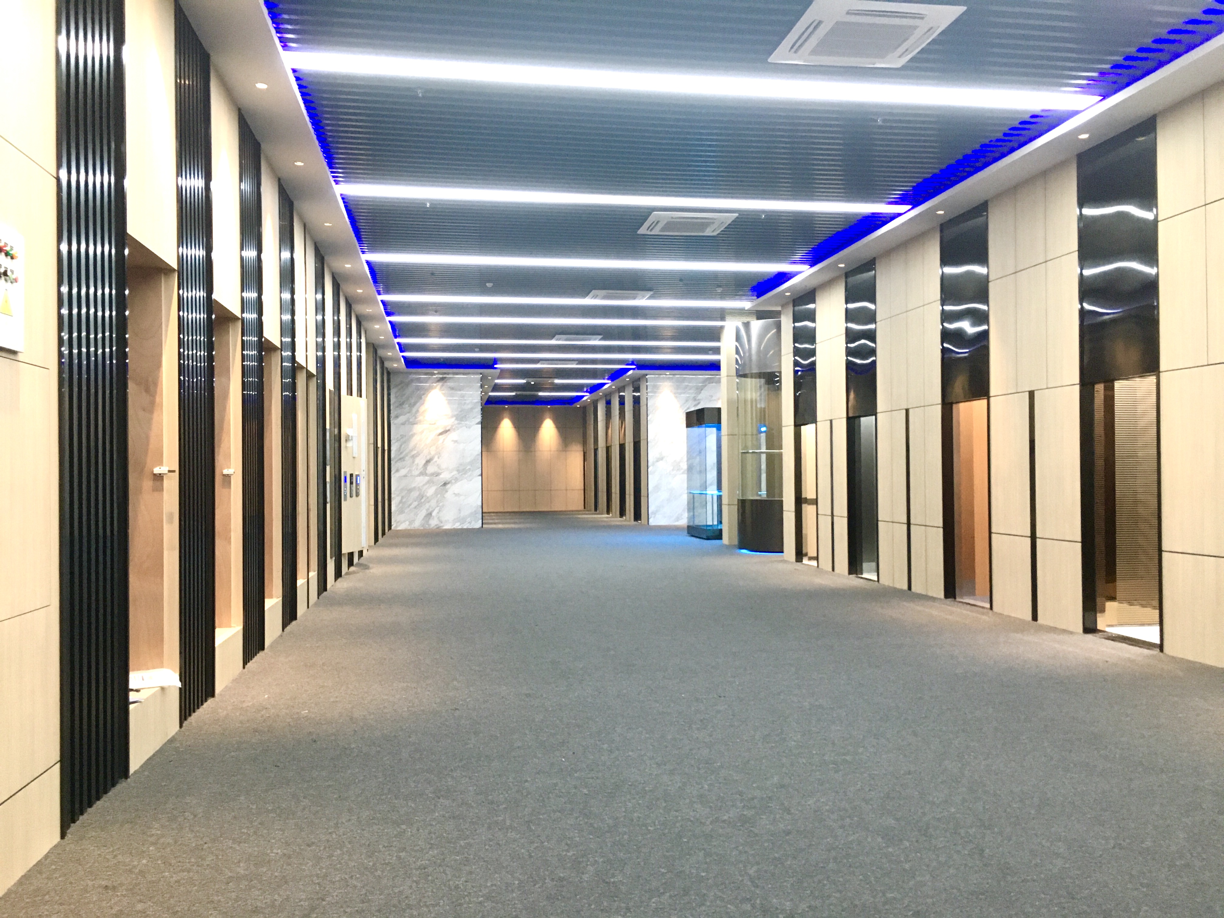 久久精品亚洲一级毛片