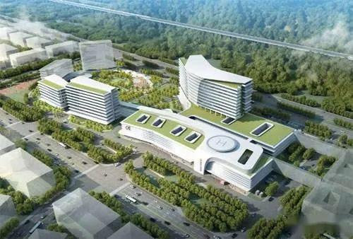 久久精品亚洲一级毛片