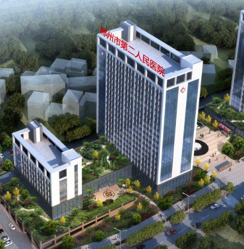 久久精品亚洲一级毛片