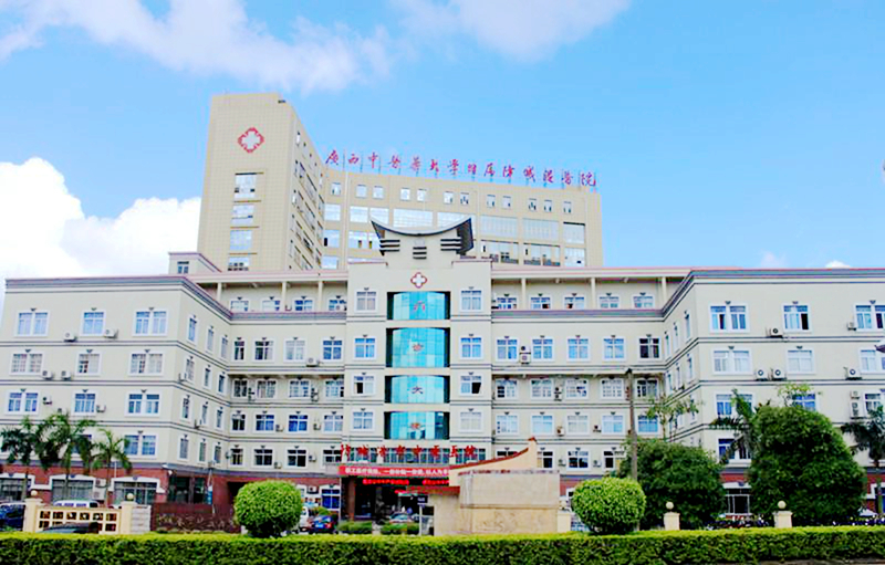 久久精品亚洲一级毛片