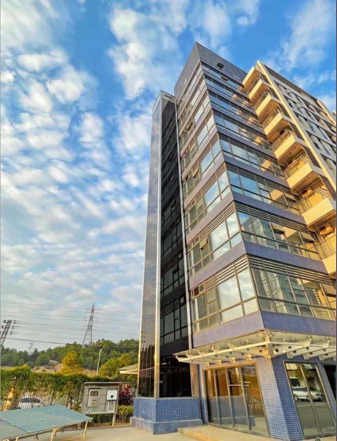 久久精品亚洲一级毛片