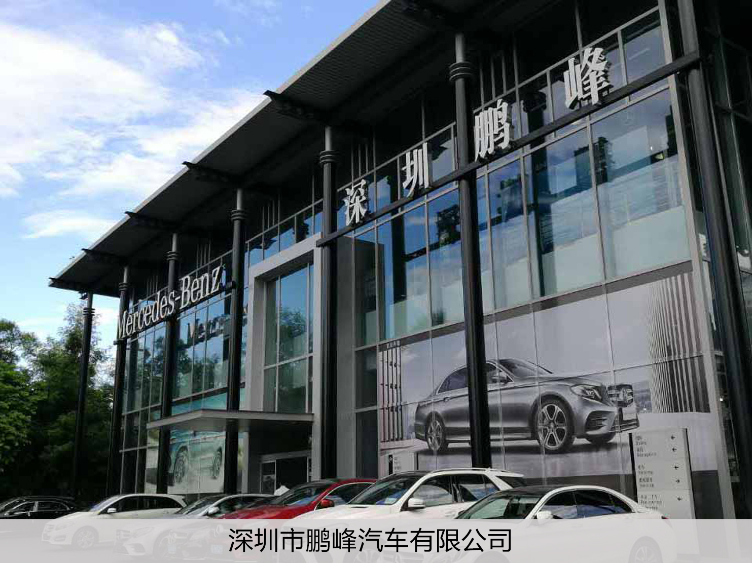 久久精品亚洲一级毛片