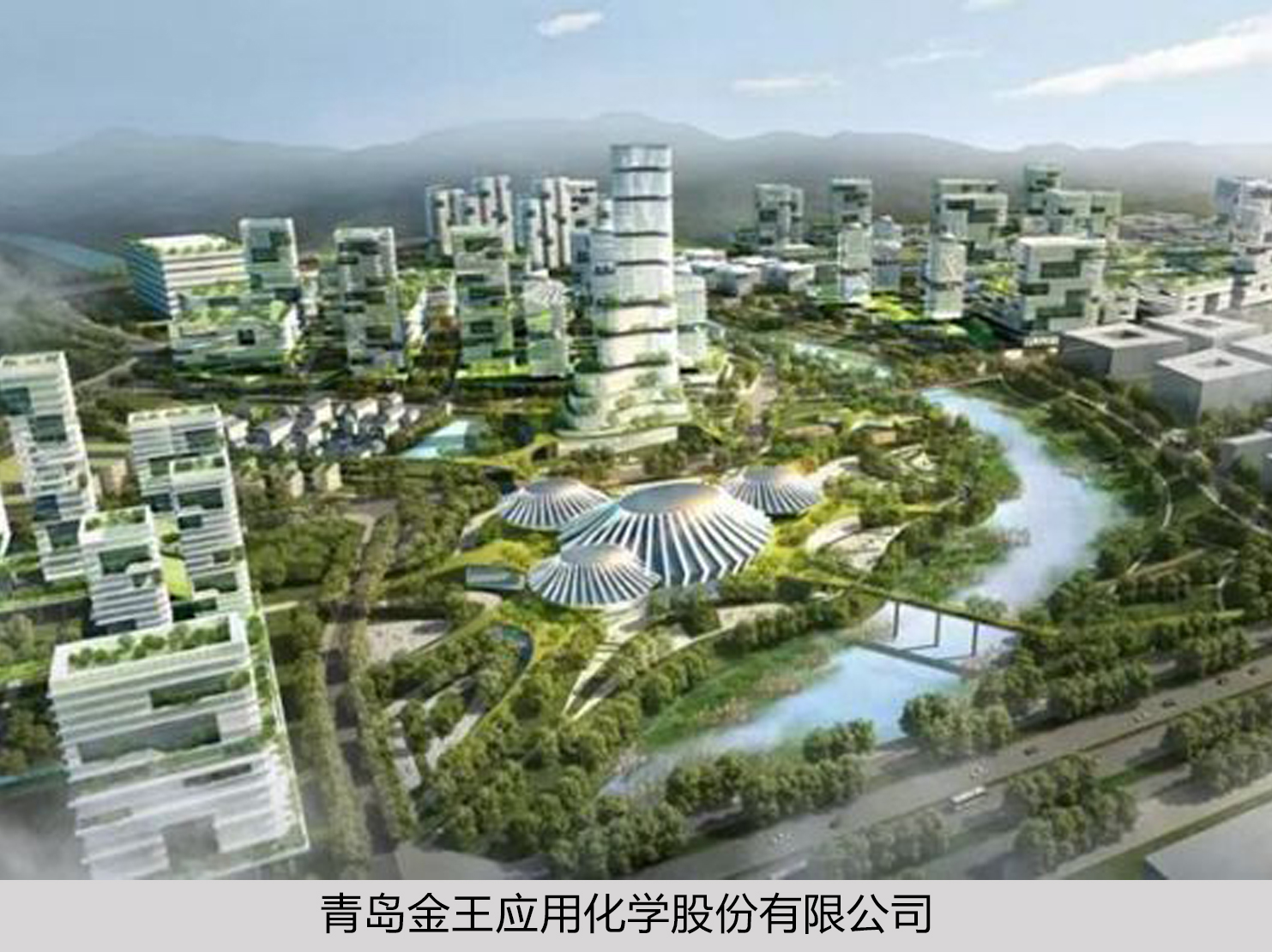 久久精品亚洲一级毛片