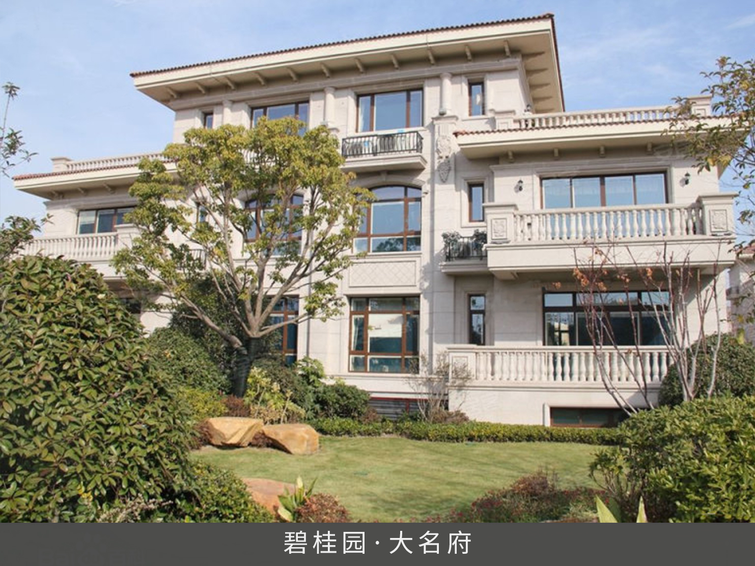 久久精品亚洲一级毛片