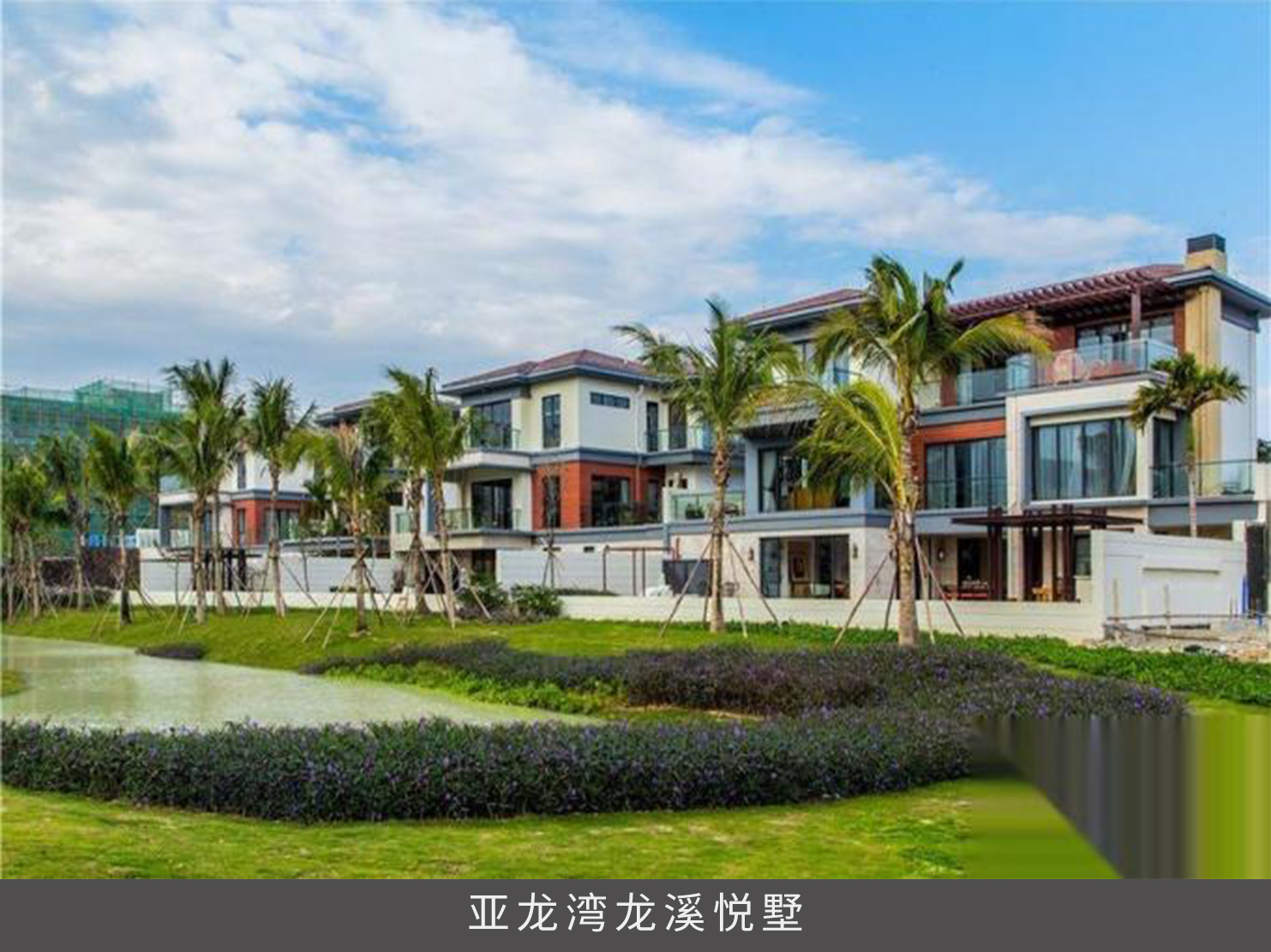 久久精品亚洲一级毛片