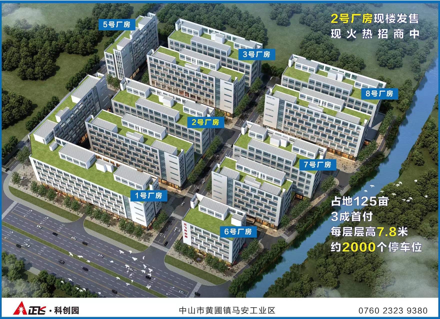 久久精品亚洲一级毛片