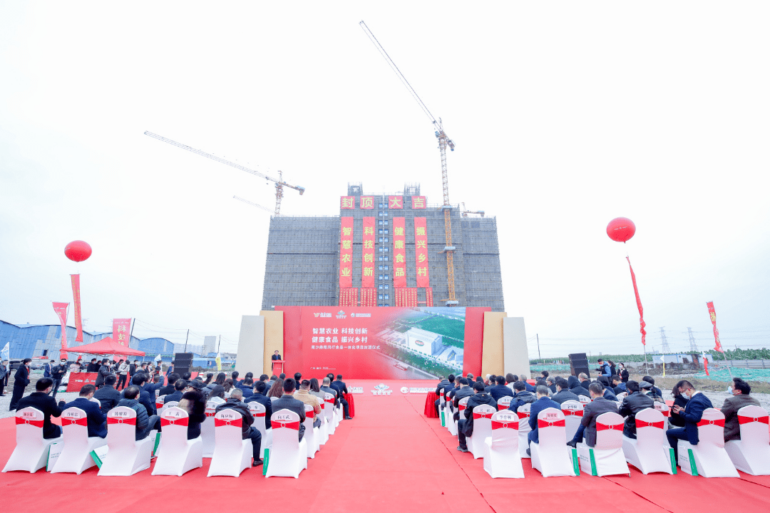 久久精品亚洲一级毛片