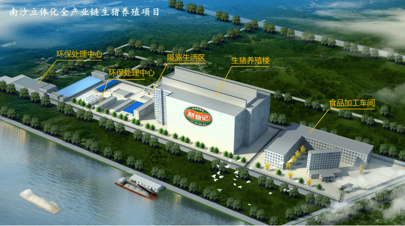 久久精品亚洲一级毛片