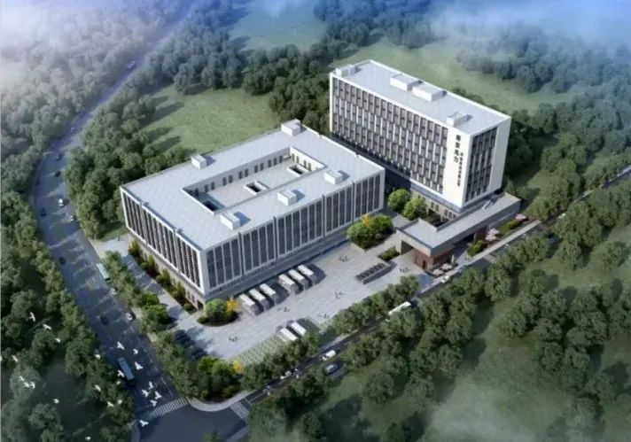 久久精品亚洲一级毛片