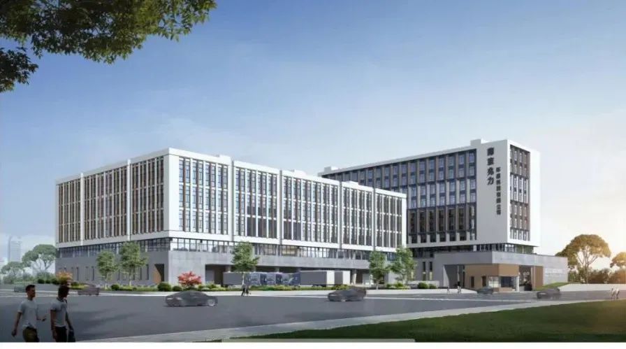 久久精品亚洲一级毛片