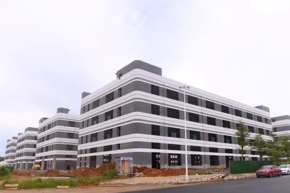 久久精品亚洲一级毛片