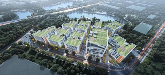 久久精品亚洲一级毛片