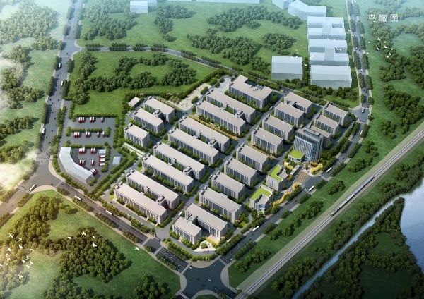 久久精品亚洲一级毛片