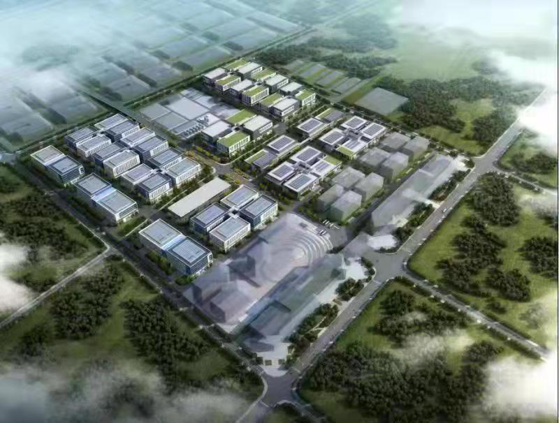 久久精品亚洲一级毛片