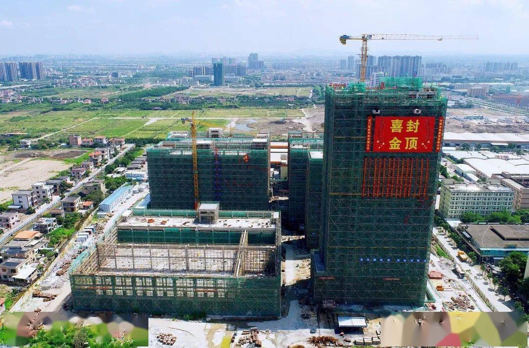 久久精品亚洲一级毛片